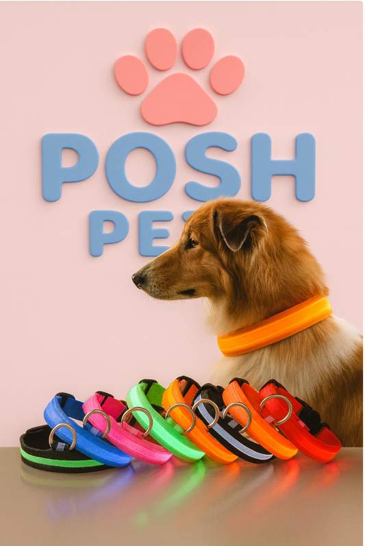 POSH PETS™ LumiLux™ LED Safety Collar & Leash Set