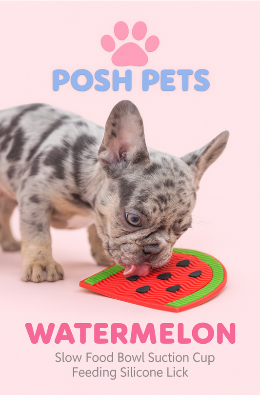 POSH PETS Lick & Love™ Mini Slow-Feed Mat